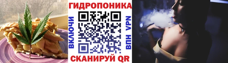 ссылка на мегу зеркало  Оренбург  Cannafood конопля 