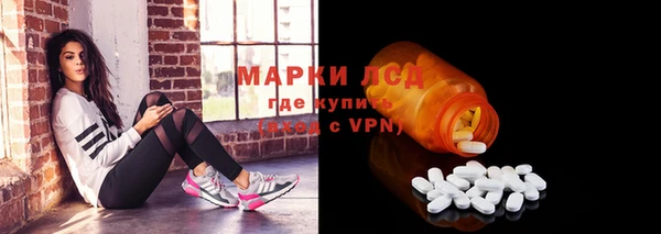 ГАЛЛЮЦИНОГЕННЫЕ ГРИБЫ Сатка
