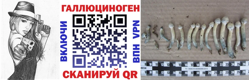 Галлюциногенные грибы MAGIC MUSHROOMS  Оренбург 